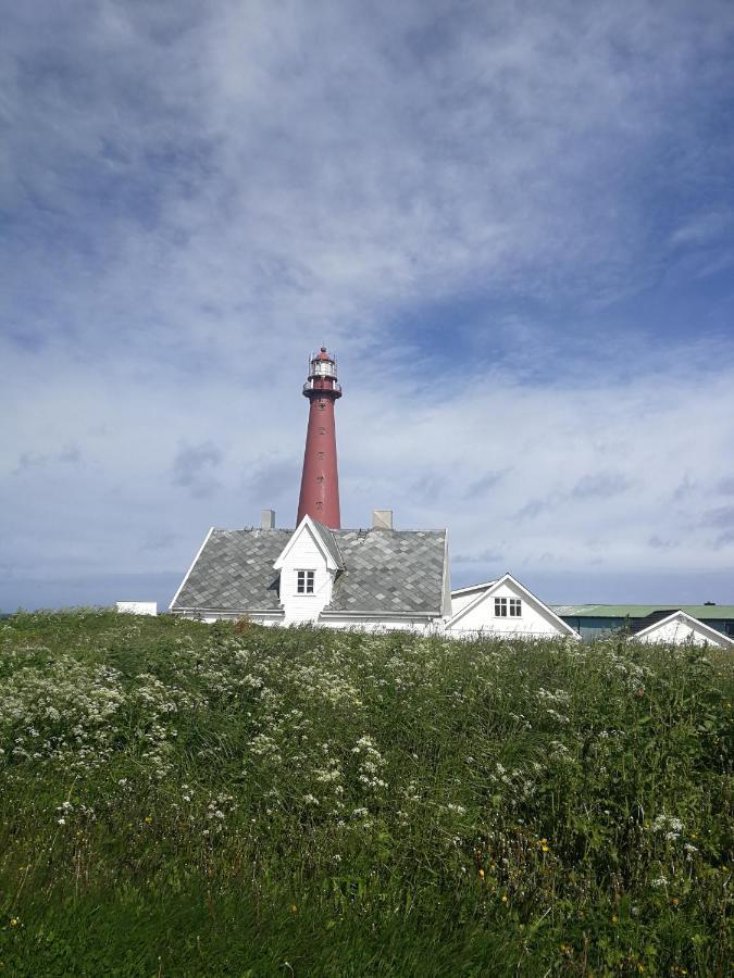 Apt 103 - Andenes Whale Safari Apartments Buitenkant foto