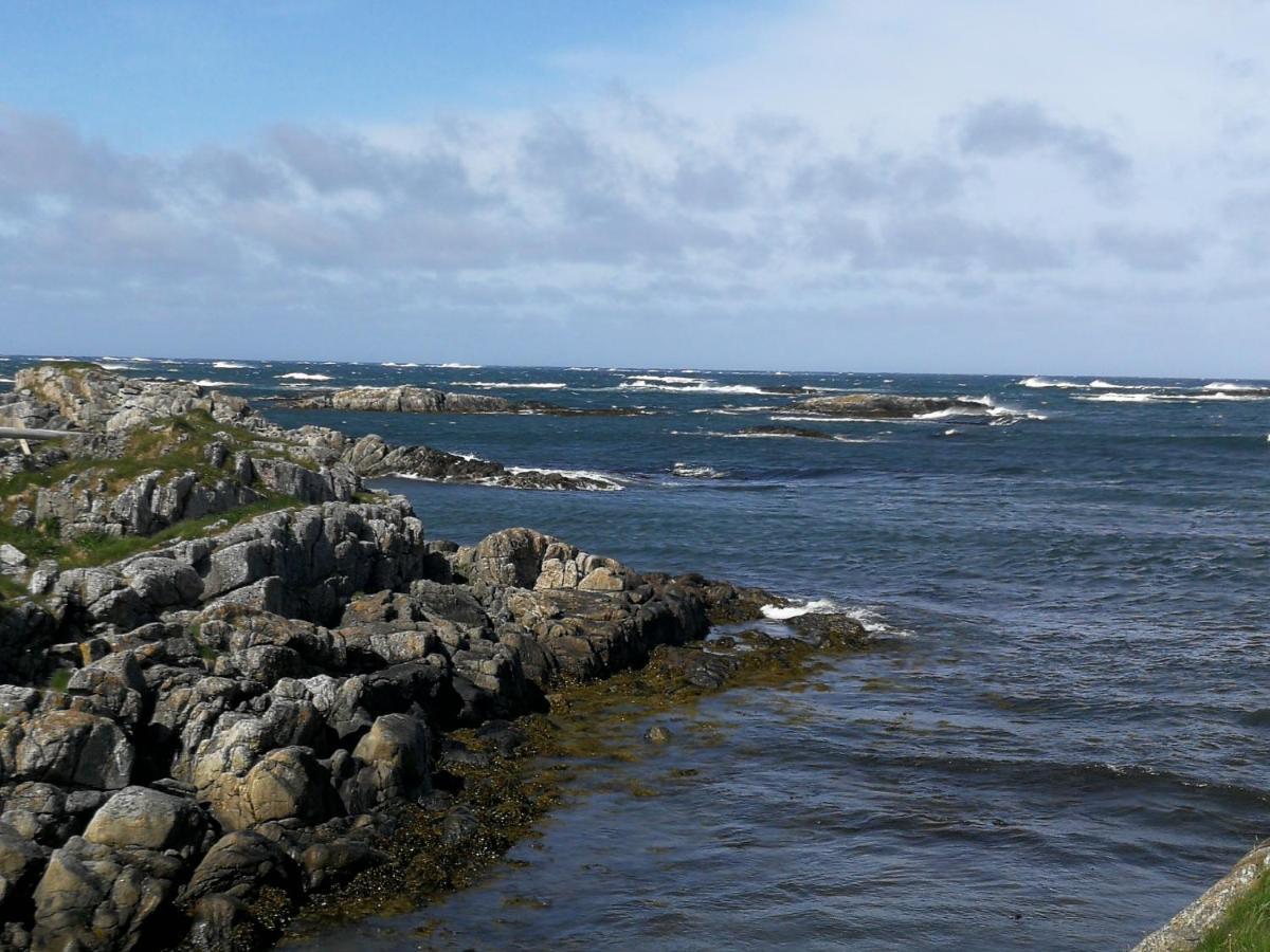 Apt 103 - Andenes Whale Safari Apartments Buitenkant foto