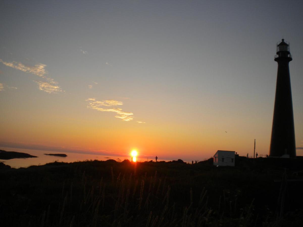 Apt 103 - Andenes Whale Safari Apartments Buitenkant foto